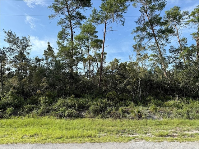 LOT1 Dahlia St, Eustis, FL 32736 - photo 32
