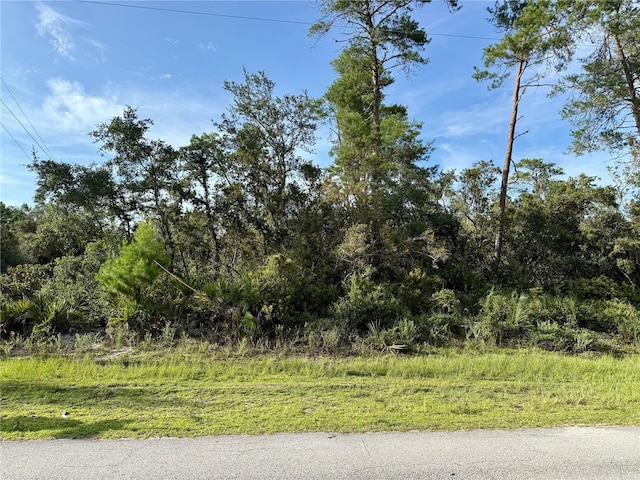 LOT1 Dahlia St, Eustis, FL 32736 - photo 3