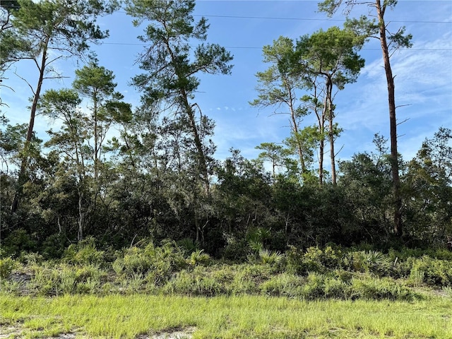 LOT1 Dahlia St, Eustis, FL 32736 - photo 4