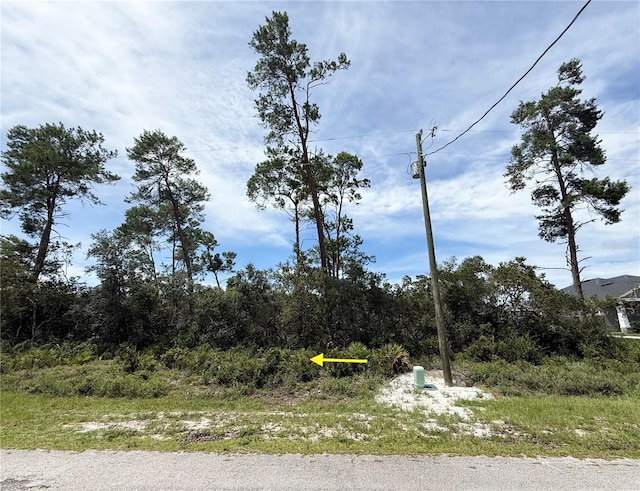 LOT1 Dahlia St, Eustis, FL 32736 - photo 5