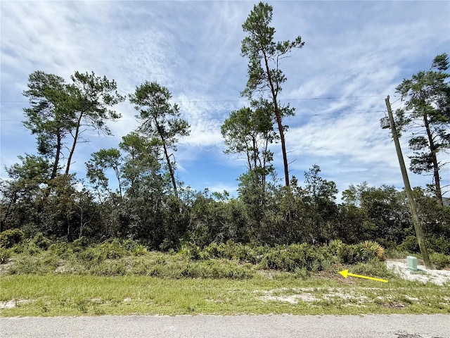 LOT1 Dahlia St, Eustis, FL 32736 - photo 6