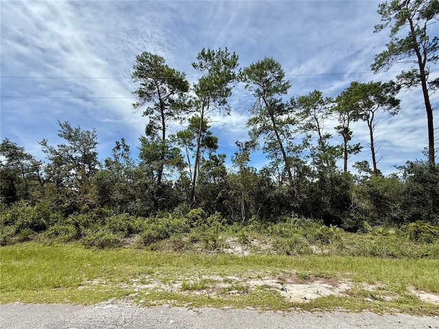 LOT1 Dahlia St, Eustis, FL 32736 - photo 7