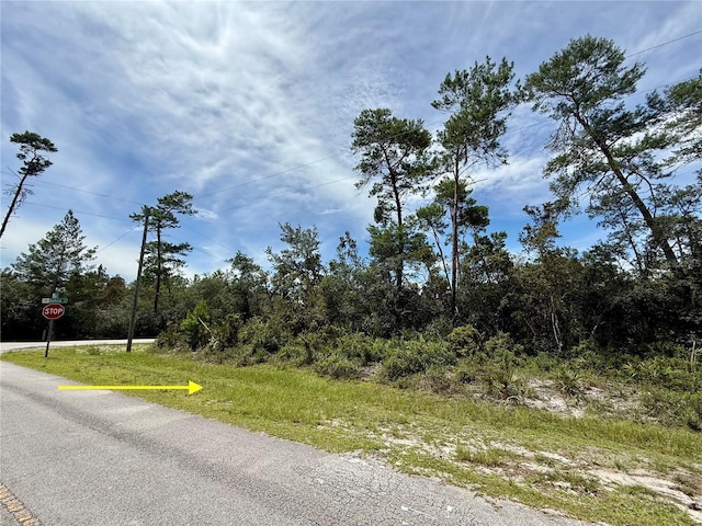 LOT1 Dahlia St, Eustis, FL 32736 - photo 11