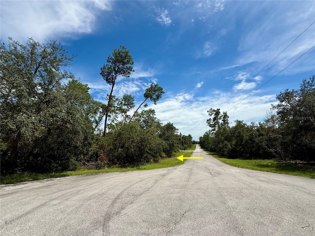 LOT1 Dahlia St, Eustis, FL 32736 - photo 15