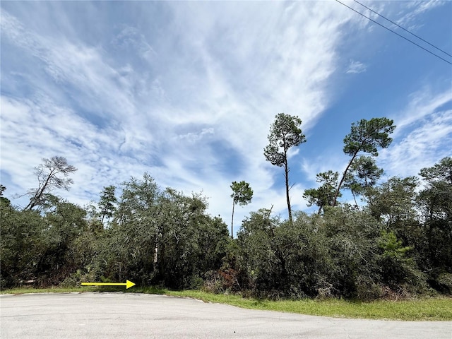 LOT1 Dahlia St, Eustis, FL 32736 - photo 17