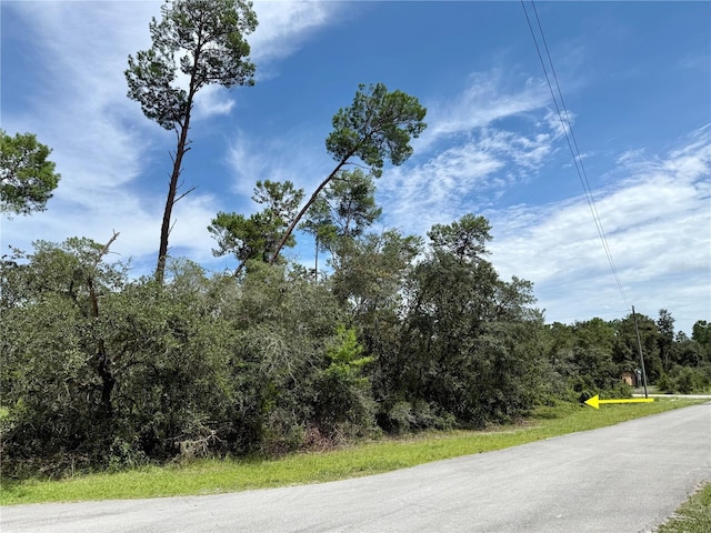 LOT1 Dahlia St, Eustis, FL 32736 - photo 18