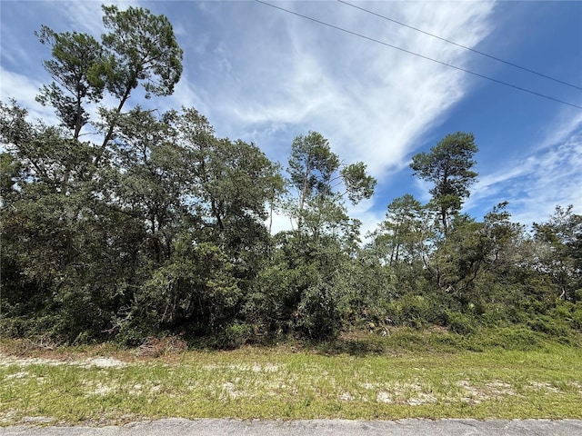 LOT1 Dahlia St, Eustis, FL 32736 - photo 19