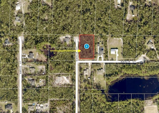 LOT1 Dahlia St, Eustis, FL 32736 - photo 20