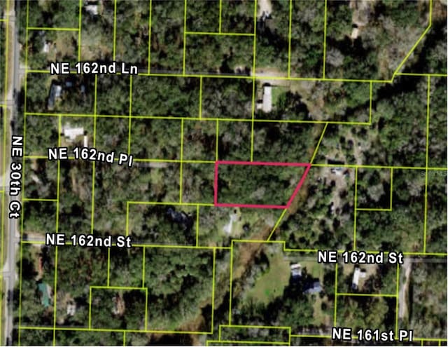 3198 NE 162nd Pl, Citra, FL 32113 - photo 1