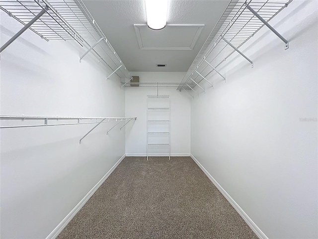 546 Wheatstone Pl, Orlando, FL 32835 - photo 37
