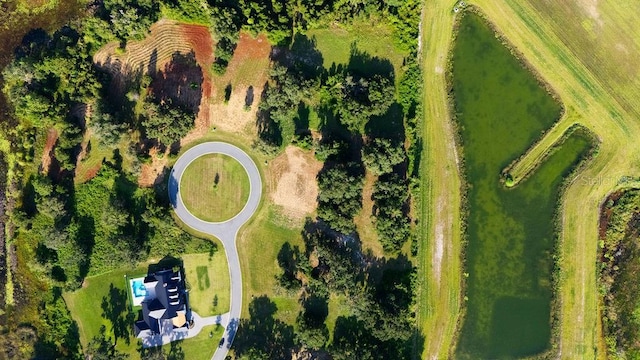 472 Long And Winding Rd, Howey In The Hills, FL 34737 - photo 14