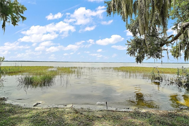 3020 Indian Trl, Eustis, FL 32726 - photo 53