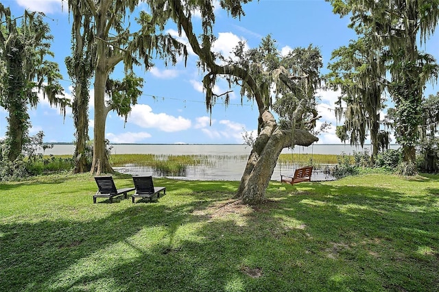 3020 Indian Trl, Eustis, FL 32726 - photo 57