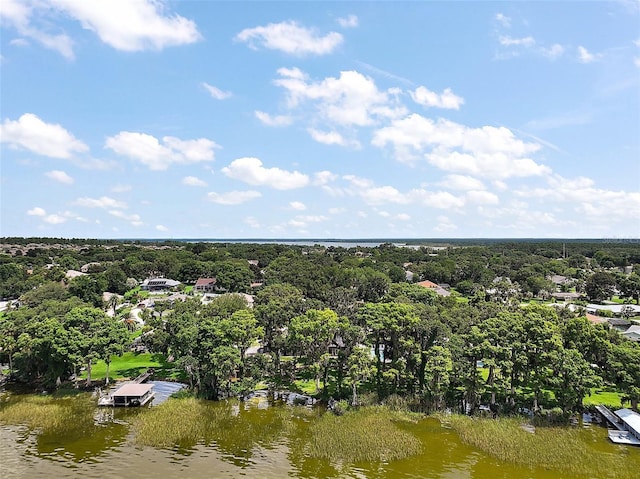 3020 Indian Trl, Eustis, FL 32726 - photo 60