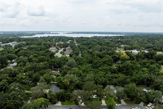 411 S Cobble Ct, Mount Dora, FL 32757 - photo 34
