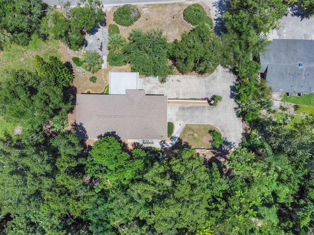 75 Sunnyside Dr, Clermont, FL 34711 - photo 44