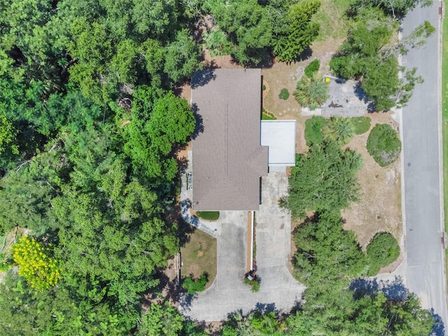 75 Sunnyside Dr, Clermont, FL 34711 - photo 45