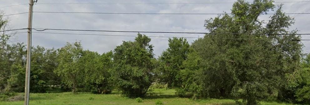 Tom Chapman Rd, Groveland, FL 34736 - photo 1