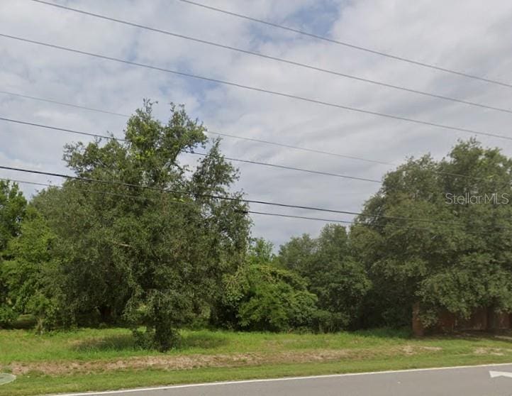 Tom Chapman Rd, Groveland, FL 34736 - photo 2