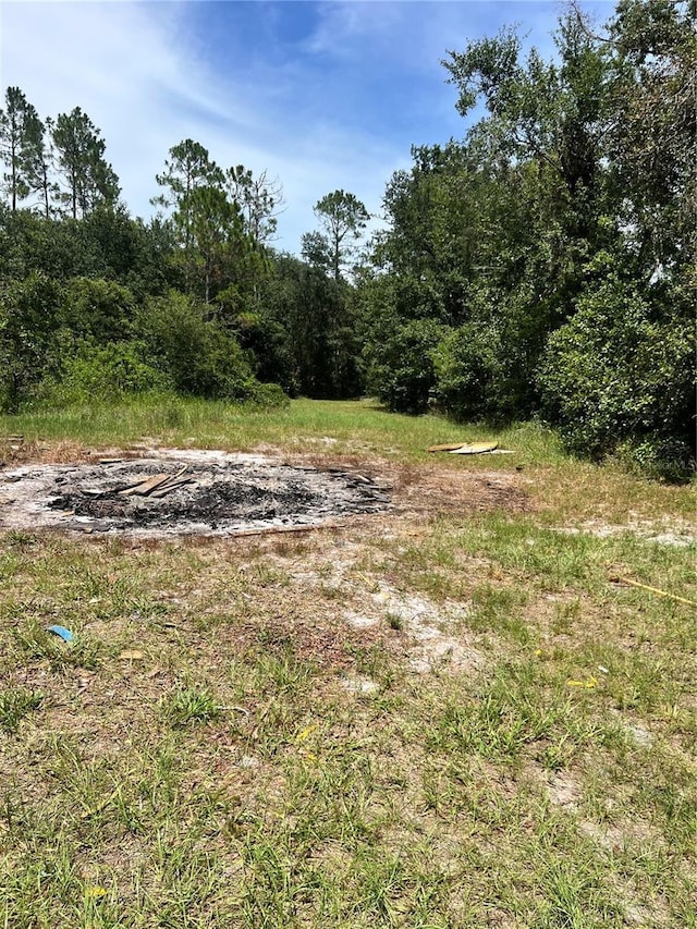 7833 Bay Lake Rd, Groveland, FL 34736 - photo 1
