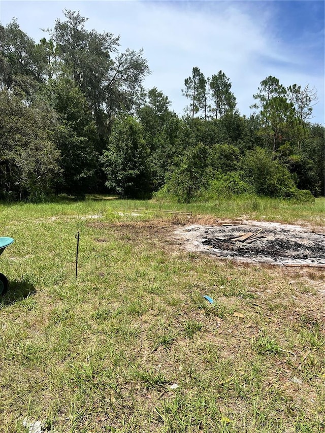 7833 Bay Lake Rd, Groveland, FL 34736 - photo 2