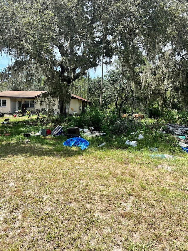 7833 Bay Lake Rd, Groveland, FL 34736 - photo 3
