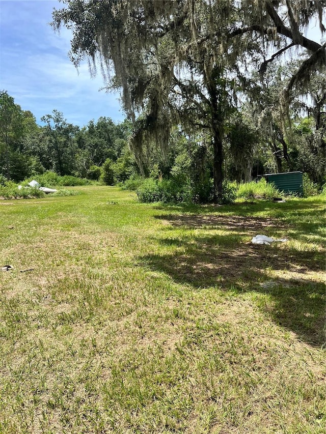 7833 Bay Lake Rd, Groveland, FL 34736 - photo 5