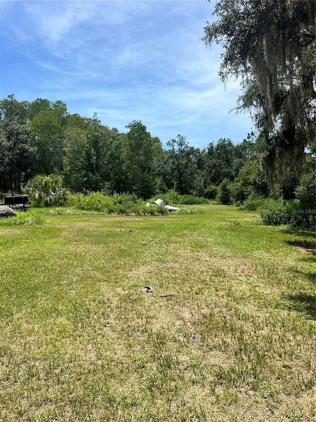 7833 Bay Lake Rd, Groveland, FL 34736 - photo 6