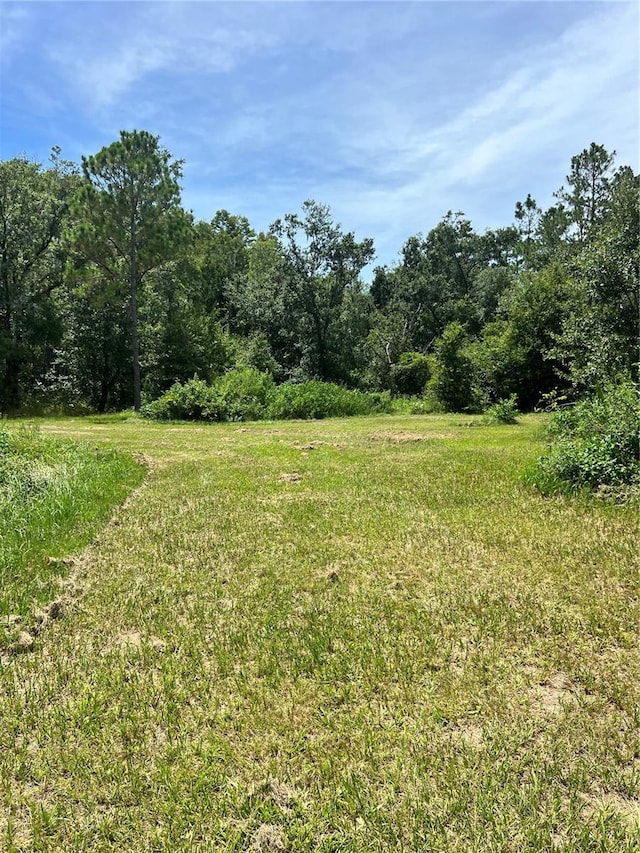 7833 Bay Lake Rd, Groveland, FL 34736 - photo 9