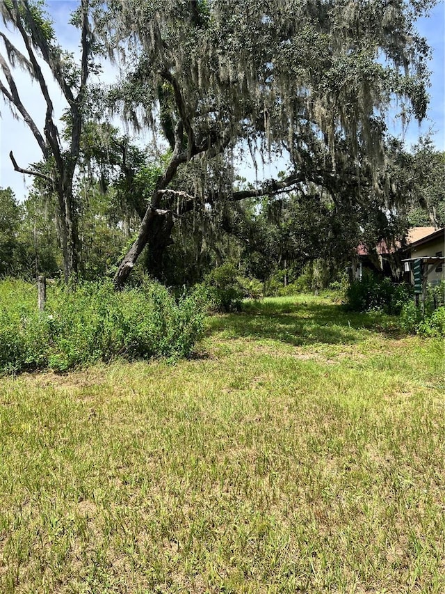 7833 Bay Lake Rd, Groveland, FL 34736 - photo 10