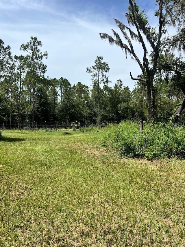 7833 Bay Lake Rd, Groveland, FL 34736 - photo 11