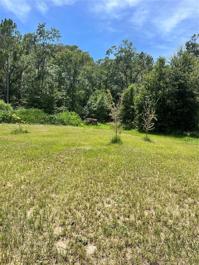 7833 Bay Lake Rd, Groveland, FL 34736 - photo 12