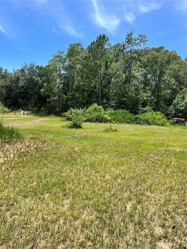 7833 Bay Lake Rd, Groveland, FL 34736 - photo 13