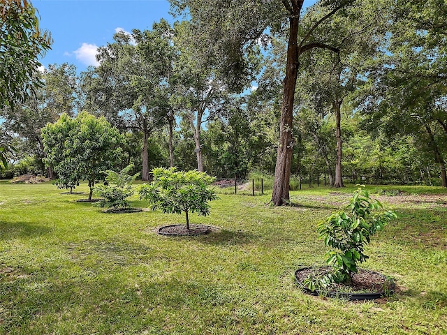 Allen St, Mount Dora, FL 32757 - photo 2