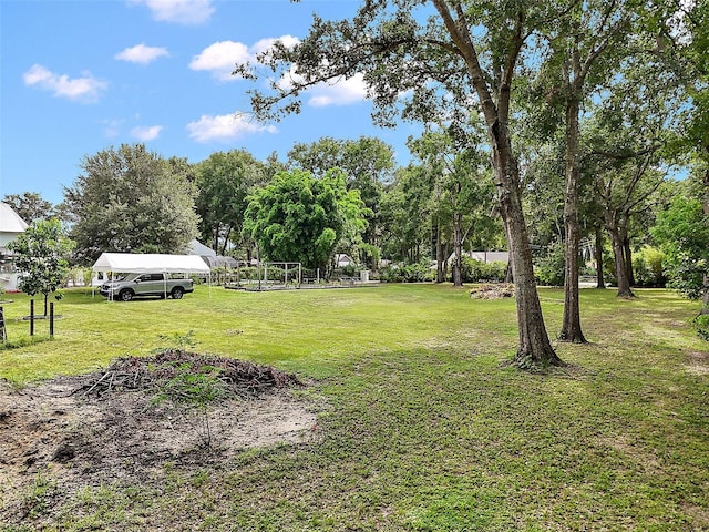 Allen St, Mount Dora, FL 32757 - photo 5