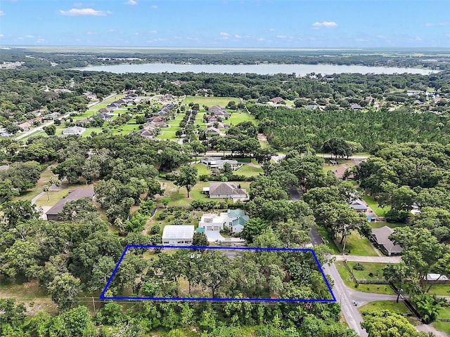 Allen St, Mount Dora, FL 32757 - photo 7