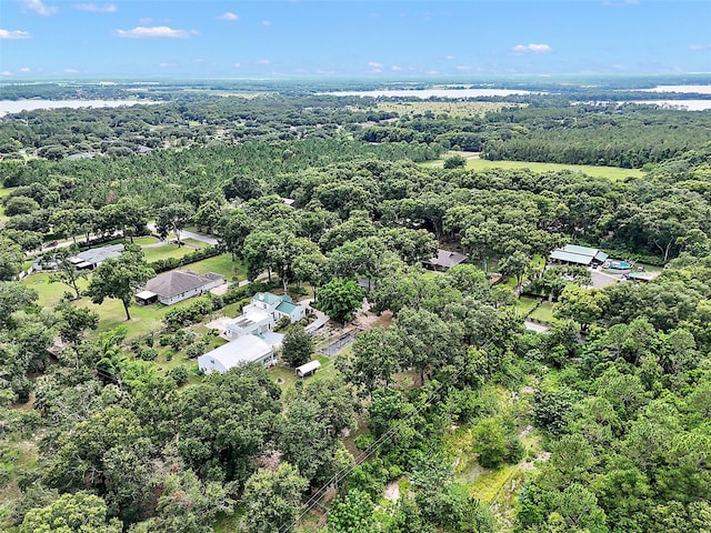 Allen St, Mount Dora, FL 32757 - photo 9