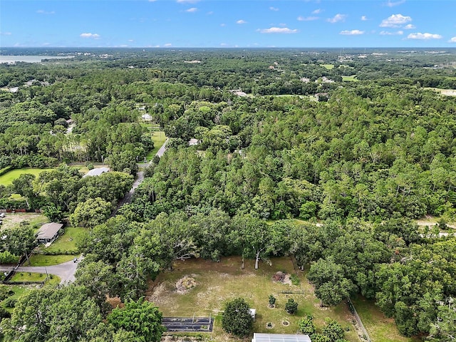 Allen St, Mount Dora, FL 32757 - photo 11