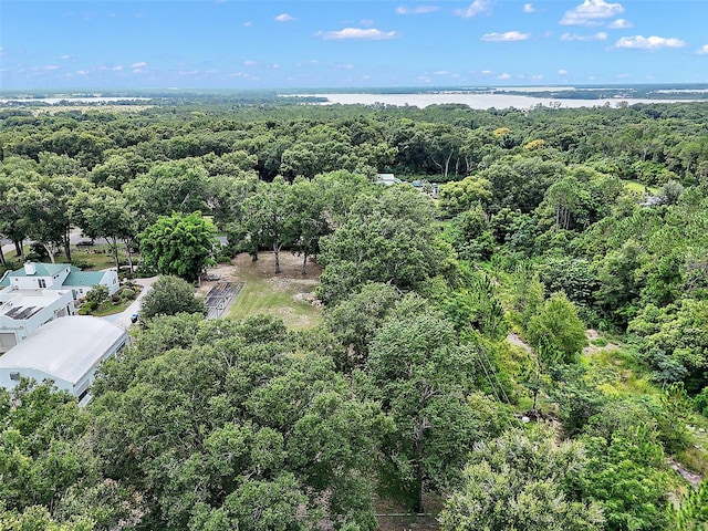 Allen St, Mount Dora, FL 32757 - photo 12