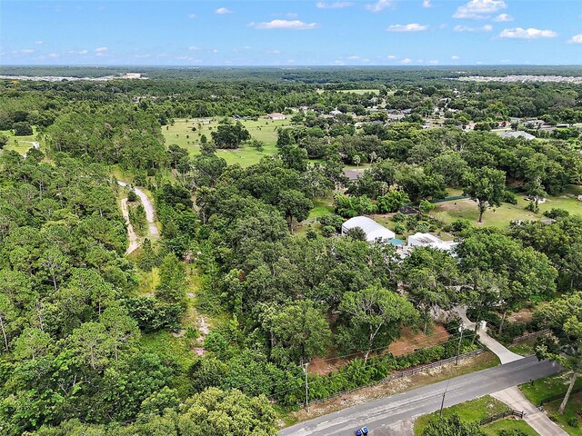 Allen St, Mount Dora, FL 32757 - photo 13