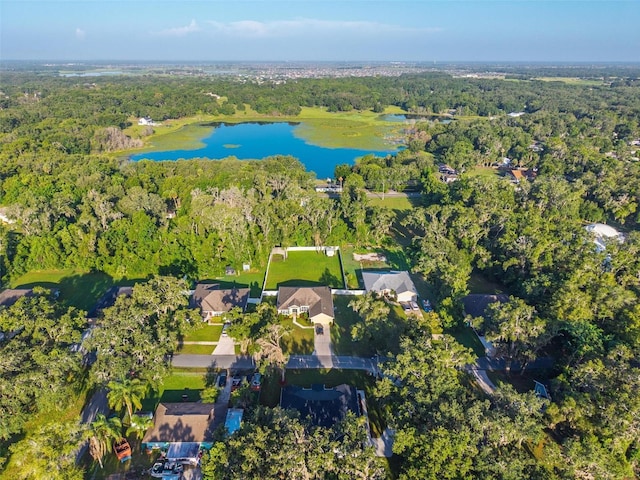 615 Leconte St, Fruitland Park, FL 34731 - photo 59