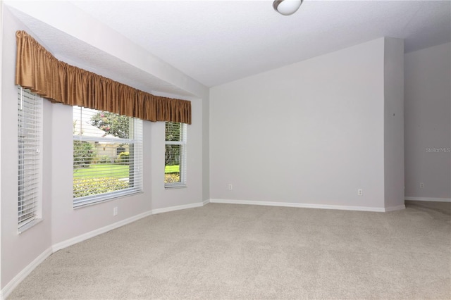 21605 King Henry Ave, Leesburg, FL 34748 - photo 5