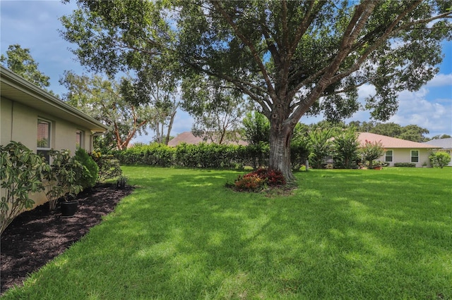 21605 King Henry Ave, Leesburg, FL 34748 - photo 28