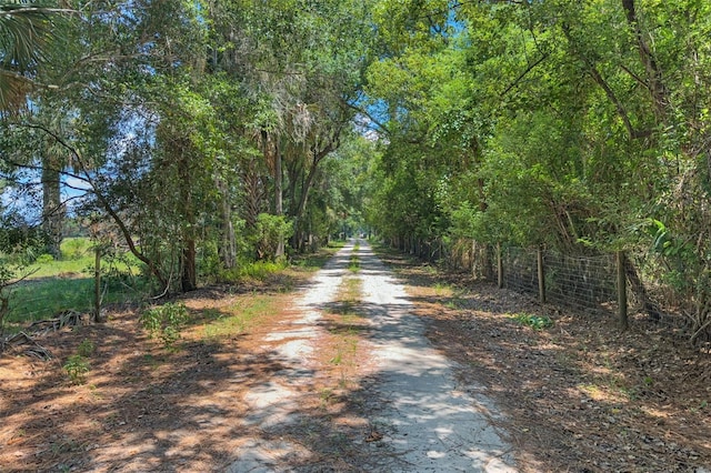15816 Mullins Blvd, Umatilla, FL 32784 - photo 17