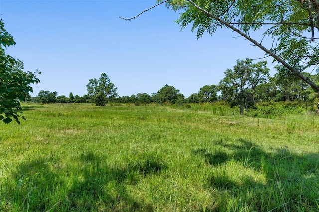 15816 Mullins Blvd, Umatilla, FL 32784 - photo 22