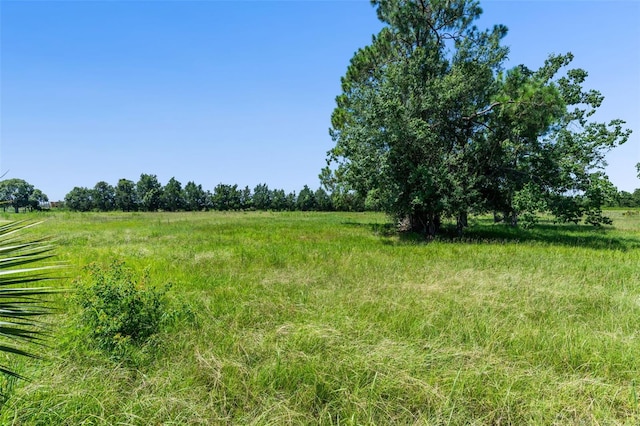 15816 Mullins Blvd, Umatilla, FL 32784 - photo 23