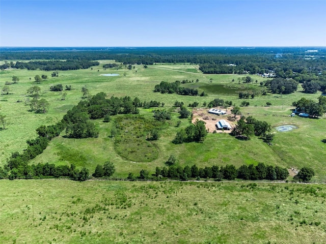 15816 Mullins Blvd, Umatilla, FL 32784 - photo 32