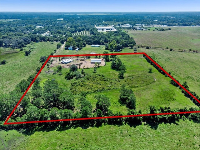 15816 Mullins Blvd, Umatilla, FL 32784 - photo 38