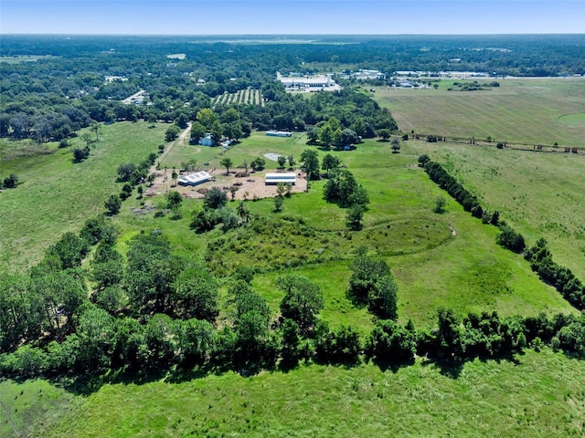 15816 Mullins Blvd, Umatilla, FL 32784 - photo 39