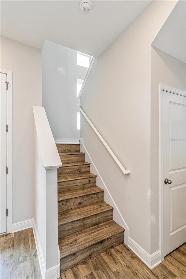 10041 Peebles St, Orlando, FL 32827 - photo 13